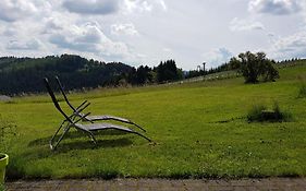 Ski in Ski out Neuastenberg